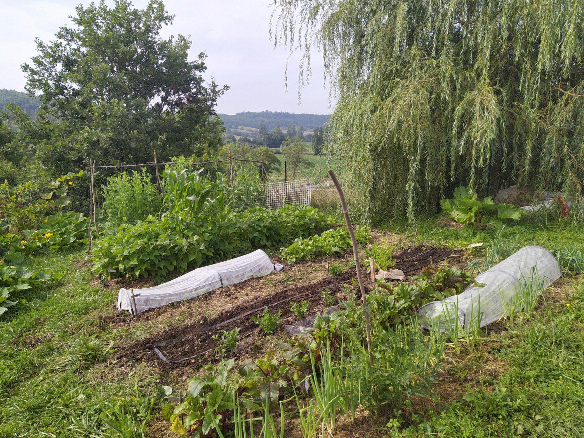 Les Gites De Campardon Monties Exterior photo